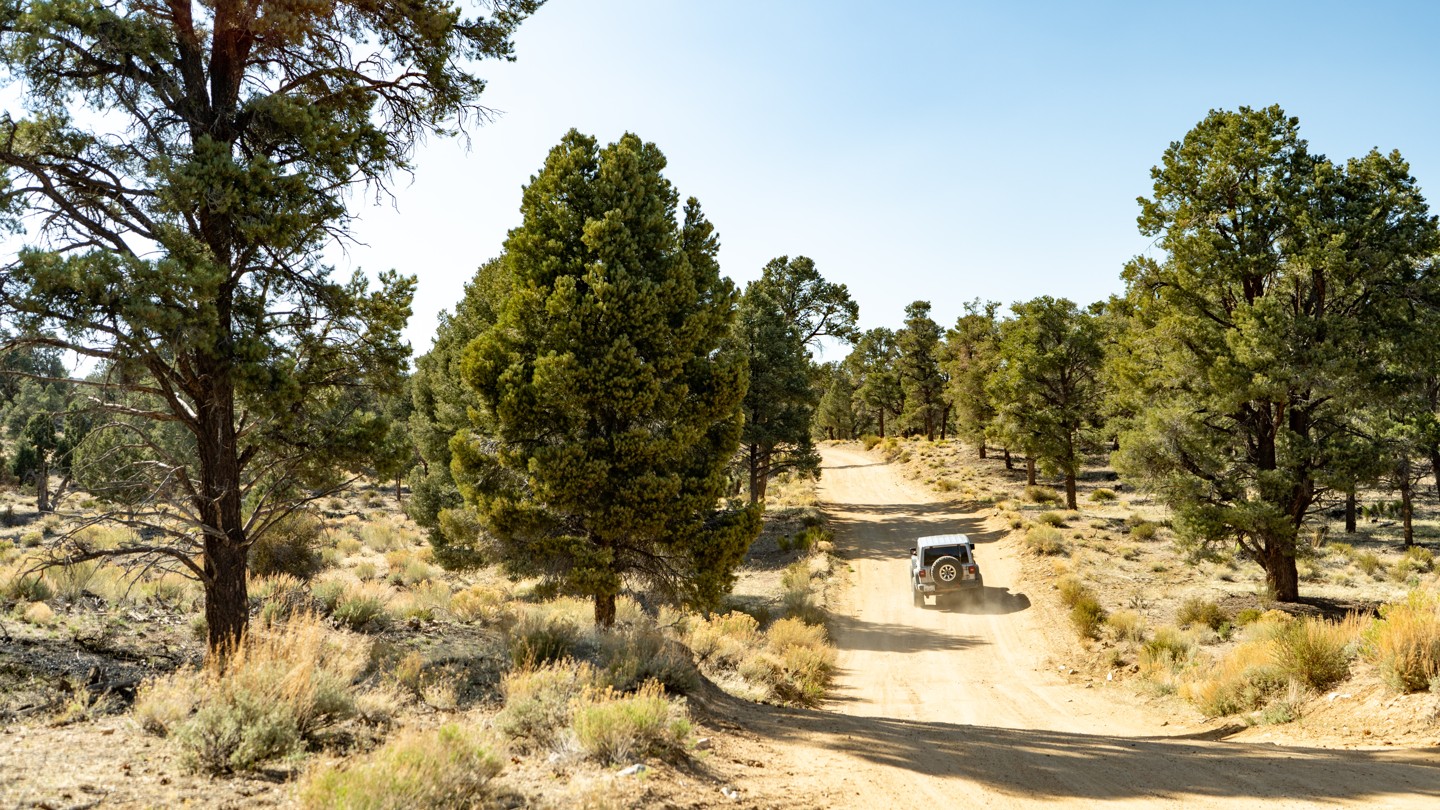 2N02 Burns Canyon California Offroad Trail